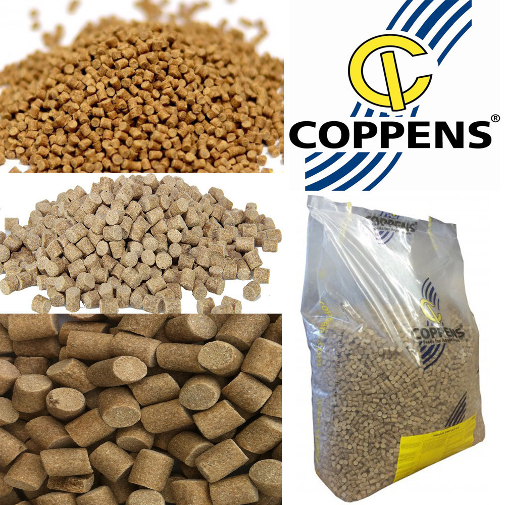 Пеллетс карповый, Pellets Coppens пеллетс Premium Carp (премиум класса) 6 мм 1000г