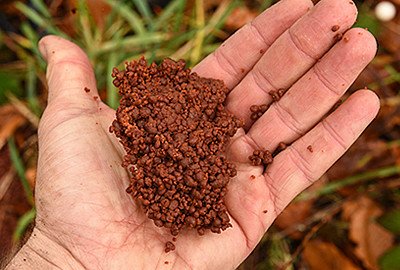CC Moore Krill Micromass 500g