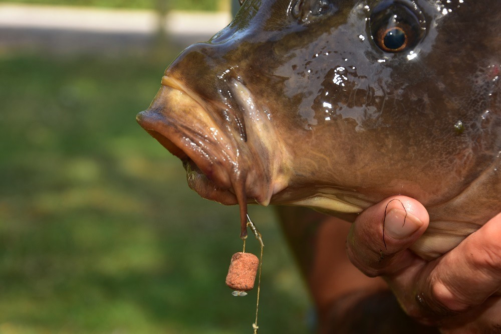 Бойли Dynamite Baits Wafters Monster Tiger Nut Red Amo 15mm