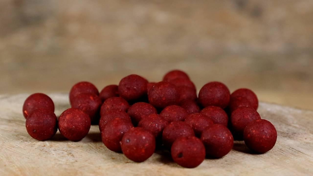 Бойли Dynamite Hard Hook Baits Red Robin 20mm