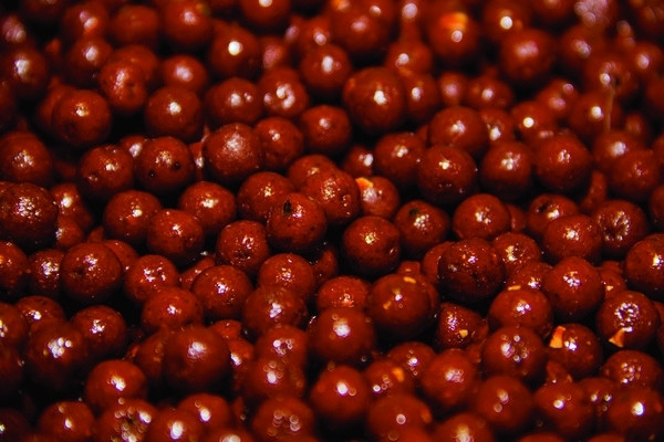 Бойли Dynamite Baits The Source 10 mm