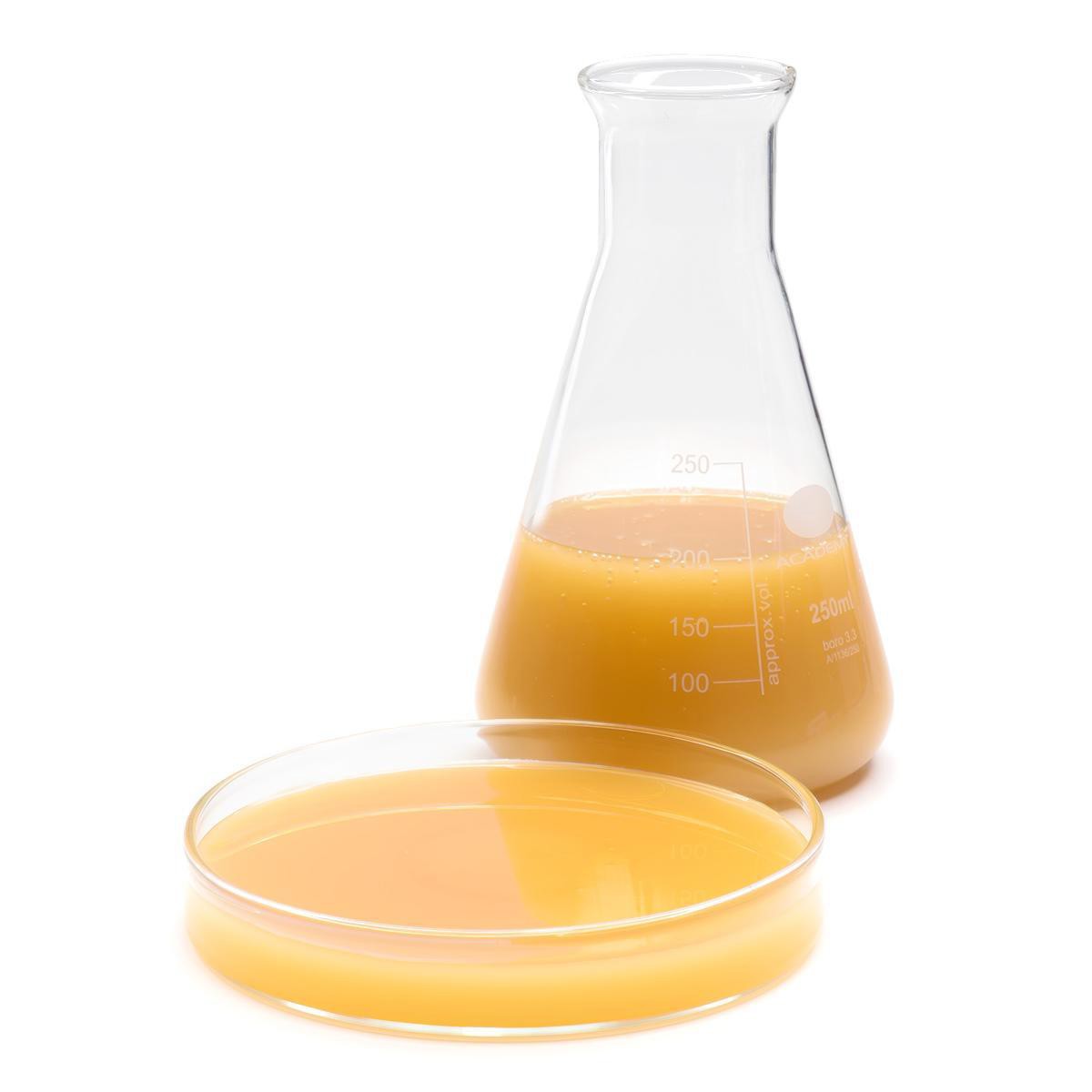 Екстракт тигрового горіха Tiger Nut Extract Xufex 1000ml