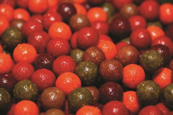 Бойли Dynamite Baits Carptec Spicy Squid 20 mm 2kg