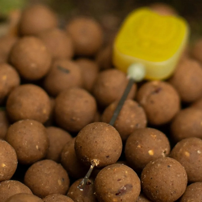 Бойли Nash Scopex Squid Boilies 24 mm 5kg