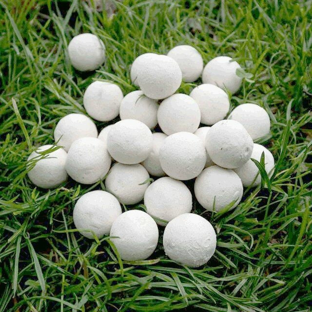 Бойли Nash Citruz White Boilies 20mm 1kg