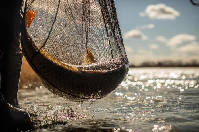 Підсак короповий Fox Horizon X3 Landing Net 42inch 2pc 8ft Pole