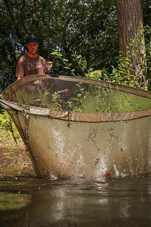 Підсак короповий Fox Horizon X4 Landing Net 42 inch/6ft Pole