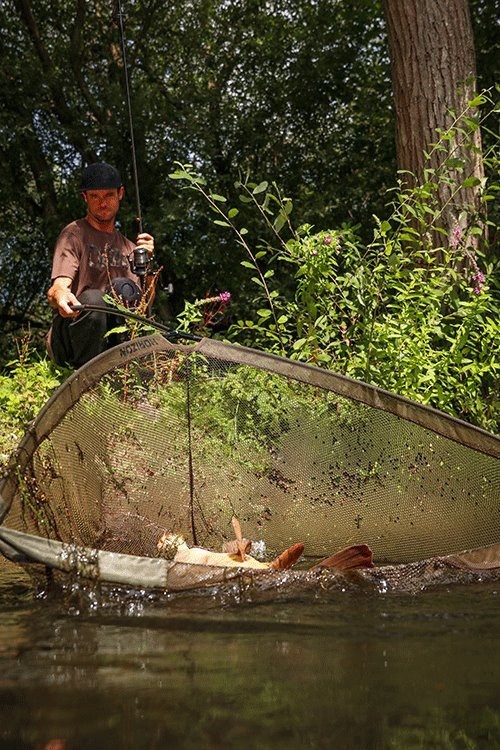 Підсак короповий Fox Horizon X4 Landing Net 42 inch/6ft Pole