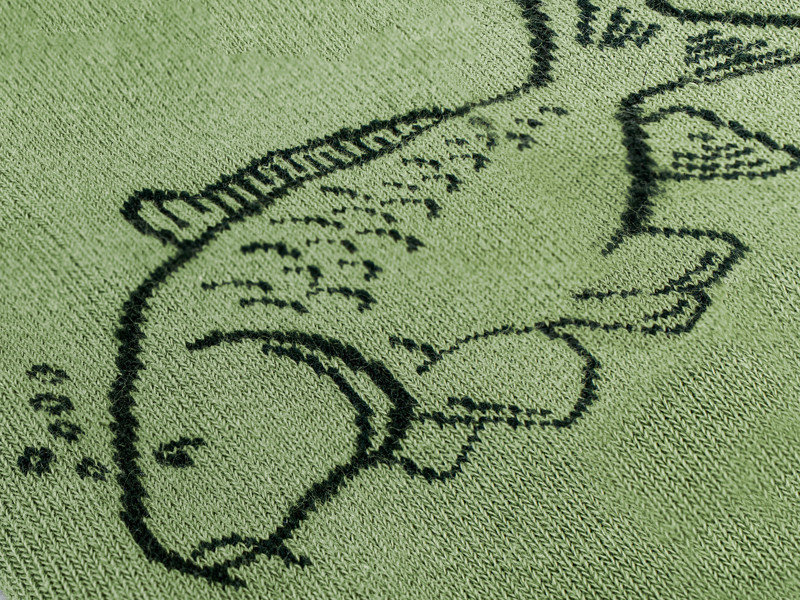 Носки Delphin CARP