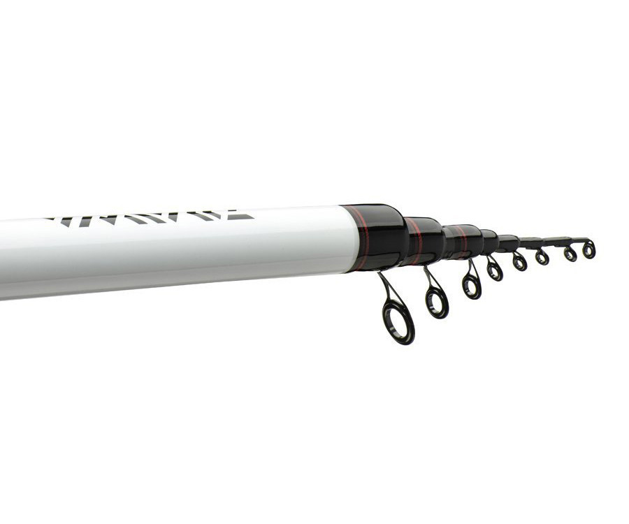 Болонське вудлище Daiwa Ninja Bolo 5 м 25г