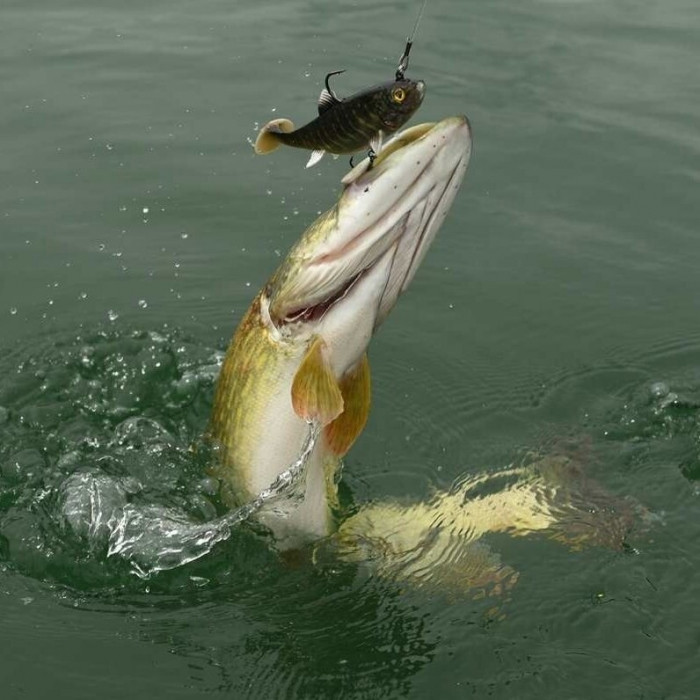 Штучна приманка Rage Replicant Realistic Super Natural Perch 10 см/20г