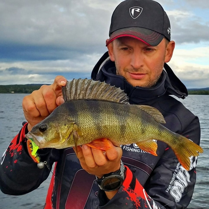 Штучна приманка Rage Ultra UV Spikey Shad Loaded 9 см 12 г 4 шт.