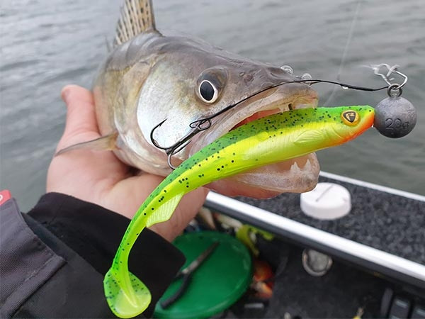 Штучна приманка Rage Ultra UV Slick Shad Mixed Colour Pack 9 см 5 шт.