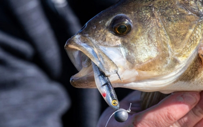 Штучна приманка Rage Ultra UV Slick Shad Mixed Colour Pack 9 см 5 шт.