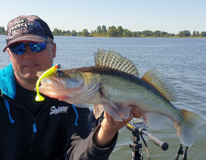 Штучна приманка Rage Ultra UV Zander Pro Shads Mixed Colour Pack 7.5 см/5шт