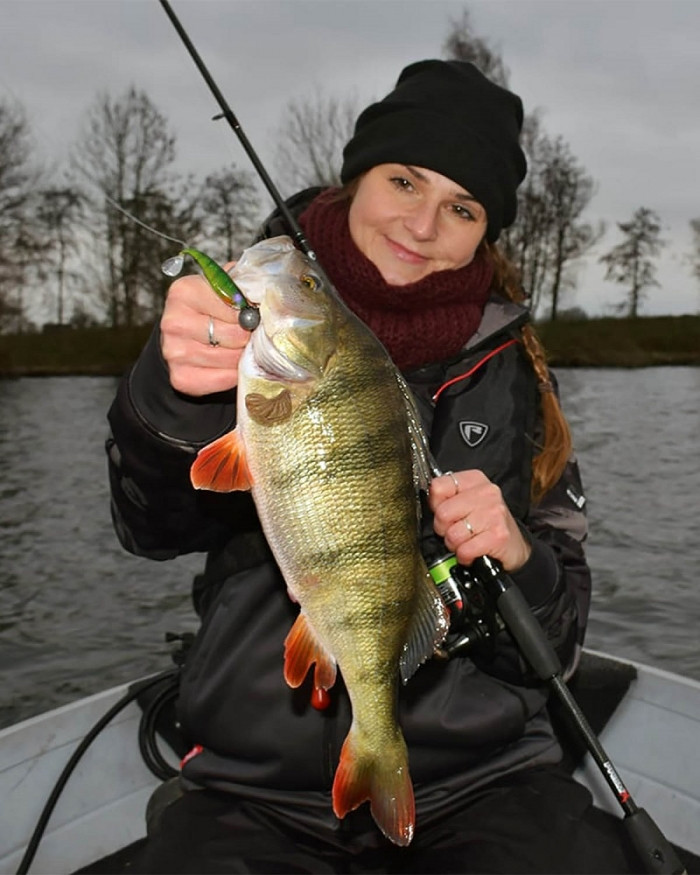 Штучна приманка Rage Ultra UV Zander Pro Shads Mixed Colour Pack 7.5 см/5шт