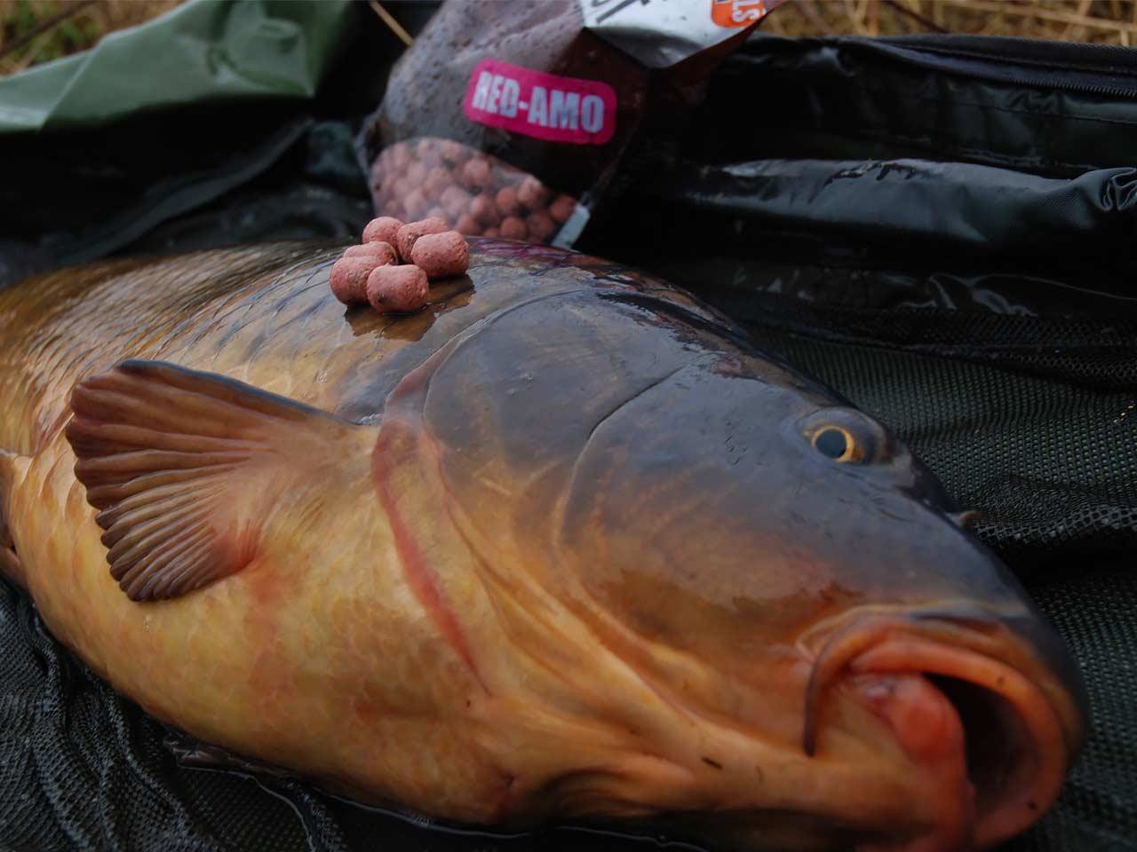 Бойли Dynamite Baits Red-Amo Monster Tigernut Shelf Life Boilies 20mm 5kg