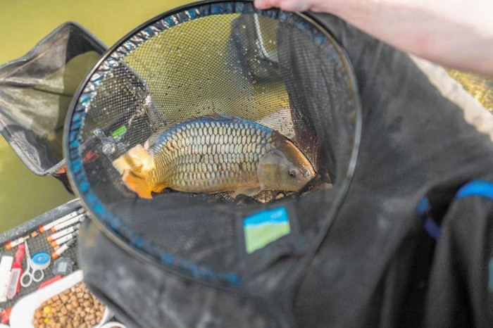 Голова для підсаки Preston Quick Dry Landing Net 45