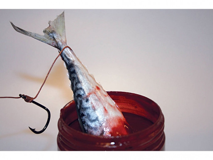 Діп  Dynamite Baits Squid Liver Bait Dip 270ml