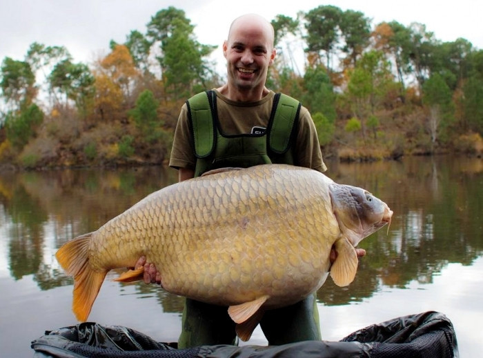 Поп-ап Dynamite Baits COMPLEX-T Fluro Pop-Ups&Dumbells 15 mm