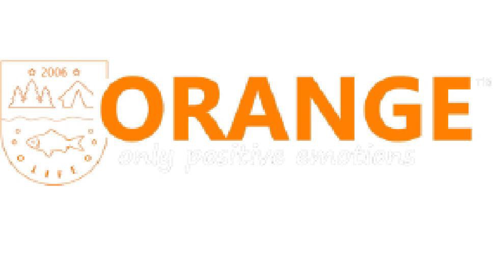Монтаж безпечна кліпса посилена не оснащена ORANGE  Power lead clip