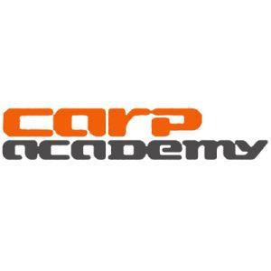 Свингер Carp Academy Bobbin Swinger Синій