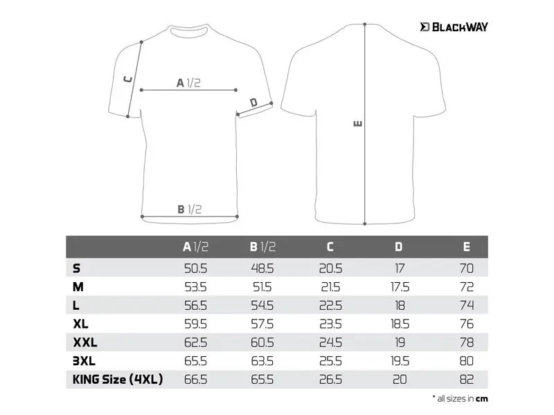 Футболка Delphin BlackWAY XL