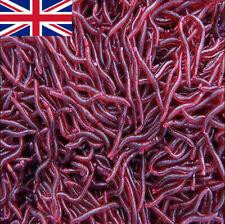 Искусственный тонущий красный червь IMITATION WORMS Enterprise Tackle
