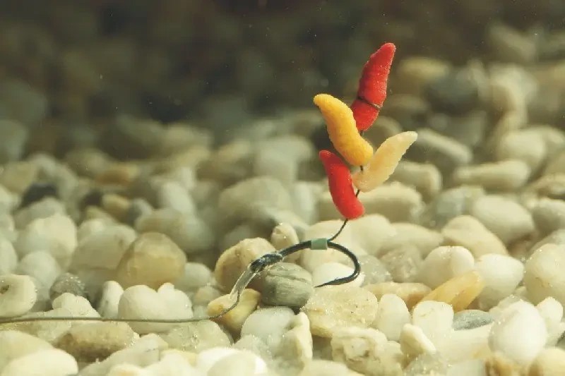 Штучний опариш Pop-Up ENTERPRISE TACKLE, FLUORO MIXED