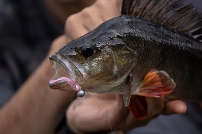 Штучна приманка Fox Rage Ultra UV Micro Tiddler Fast Lures 5cm x 8