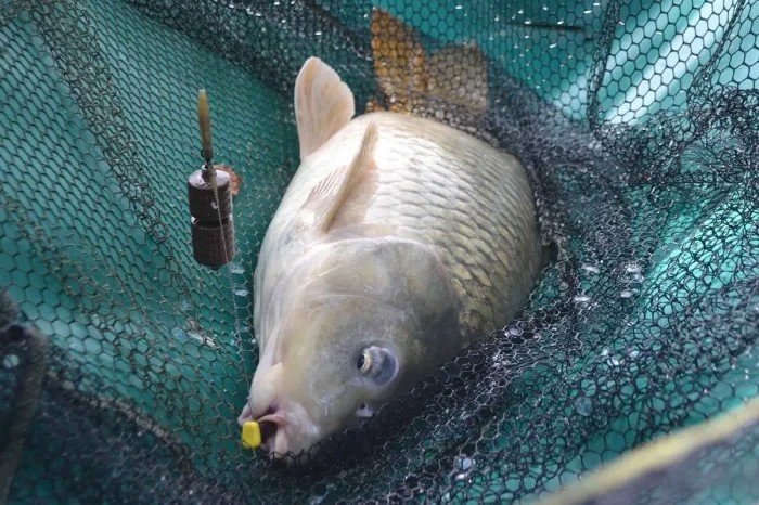 Сердечник для кульок Wolf Method Feeder Lead System 2шт