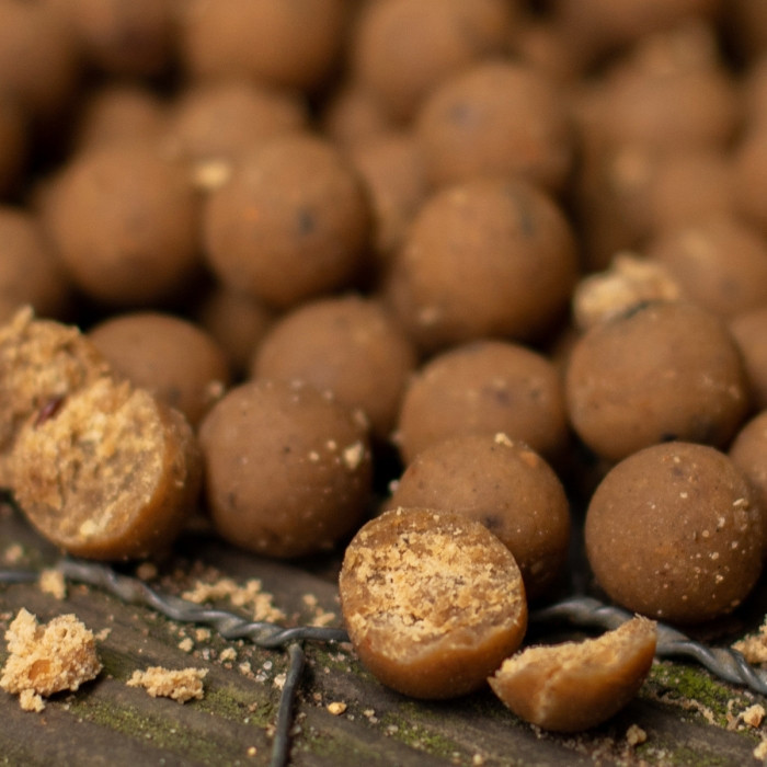 Бойли Nash Scopex Squid Boilies 24mm 1kg
