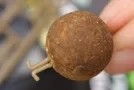 Стопор для насадки Korda Extenda Stops