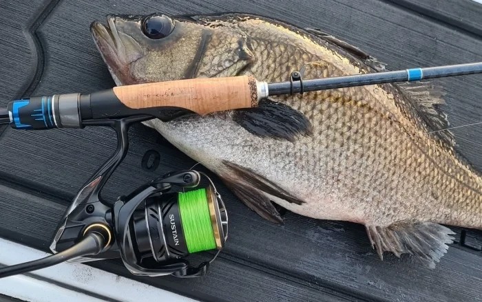 Спінінгова котушка Shimano Sustain 2500FJ