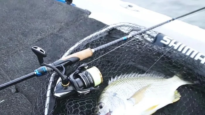 Спінінгова котушка Shimano Sustain 4000FJ