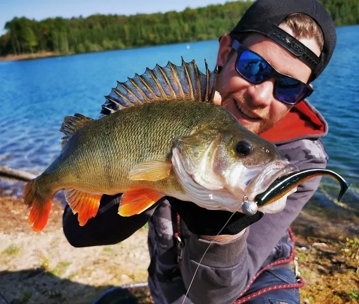 Штучна принада Rage Ultra UV Zander Pro Shads Mixed Color Lure Pack 7,5cm x 5