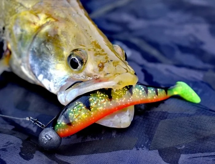 Штучна принада Rage Ultra UV Zander Pro Shads Mixed Color Lure Pack 7,5cm x 5