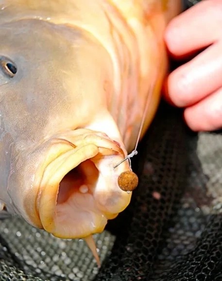 Гачки Fox Carp Hooks Curve Shank