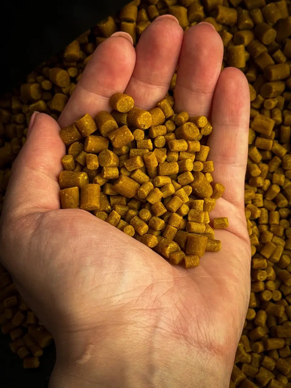 Пелетс Big fish monAmur фірмовий солодкий аромат Premium Pellets мікс 8-12мм відро 2,5 кг