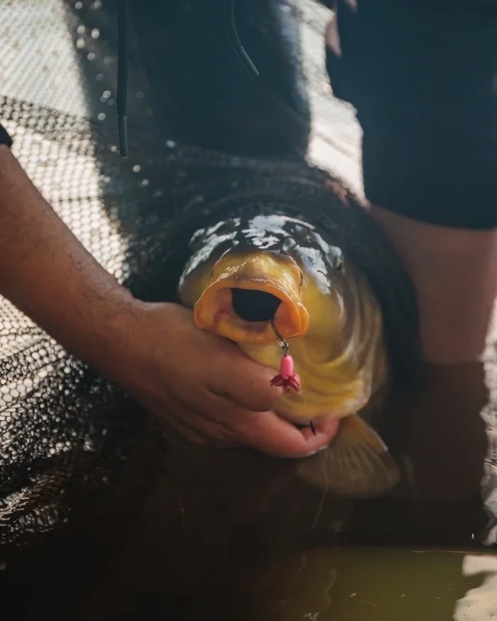Готовий повідець Fox Carp Ready Rigs Fluoro D-Rig