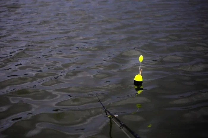 Поплавець сомовий Black Cat Catfish Float 100g