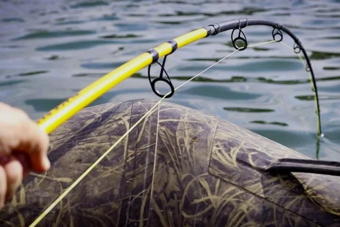 Вудилище сомове Black Cat BlackPassion G2 Long Ranger Rod 3.30m 600g