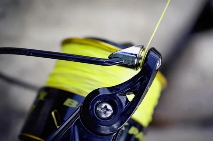 Котушка сомова Black Cat Black Passion FD Reel Model 80 BB 5