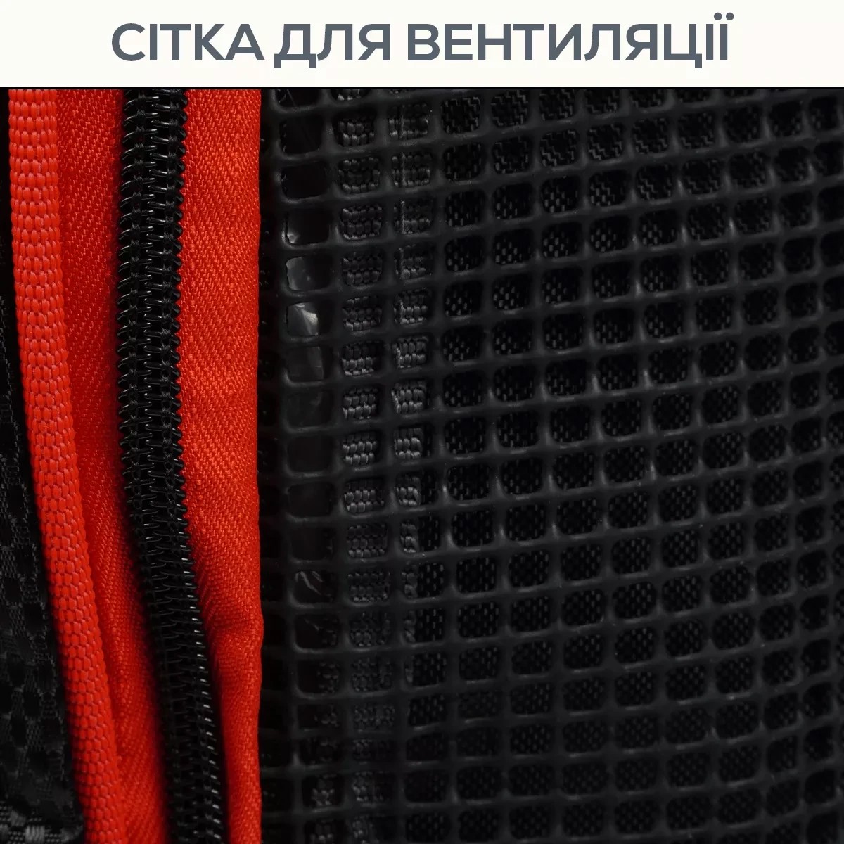 Сумка Golden catsh для чобіт