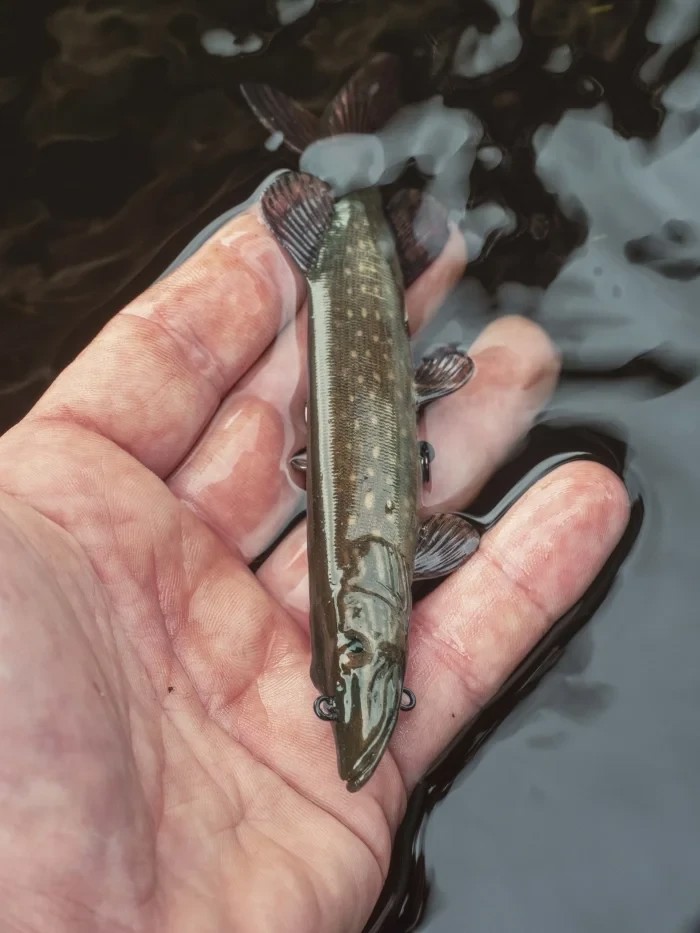 Силіконова приманка Fox Rage Ultra-Realistic Pike Replicant 10cm 12g