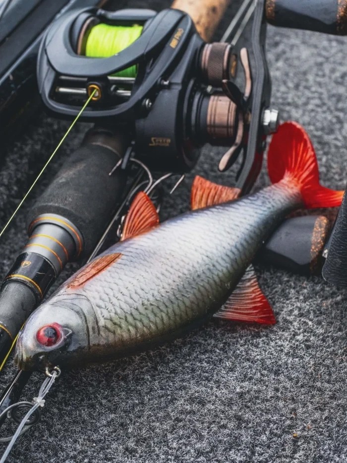 Силіконова приманка Fox Rage Ultra-Realistic Pike Replicant 10cm 12g