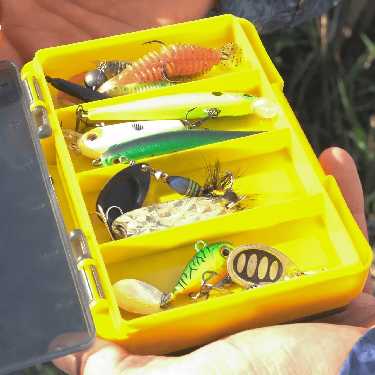 Коробка GC Reversible Worm Case RWC-1410F